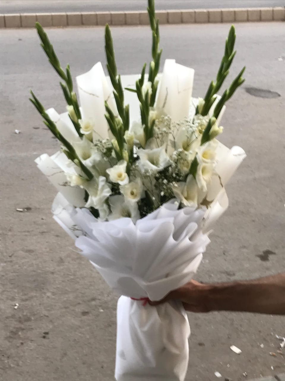 Best White with Green Combination