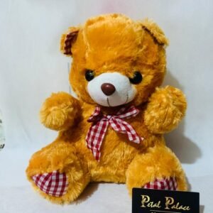 Beautiful Teddy Bear 5 colors