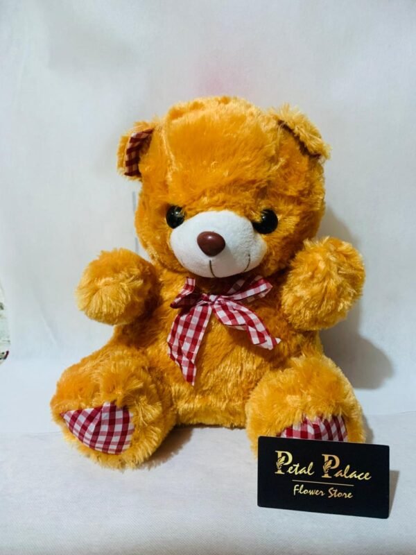 Beautiful Teddy Bear 5 colors