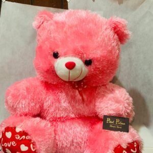 Cute Pink Teddy For Her
