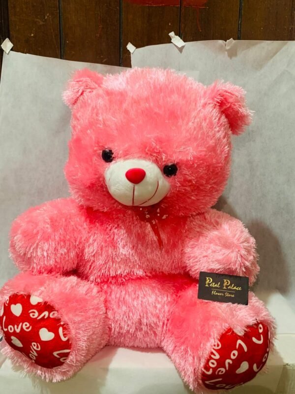 Cute Pink Teddy For Her